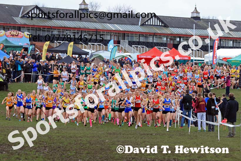 Senior Girls 2024 English Schools Cross Country Champs., Pontefract, March 16th.  Photo: David T. Hewitson/Sports for All Pics